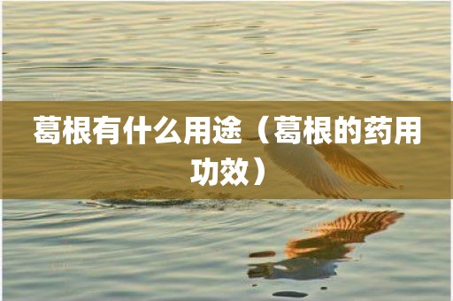 葛根有什么用途（葛根的药用功效）