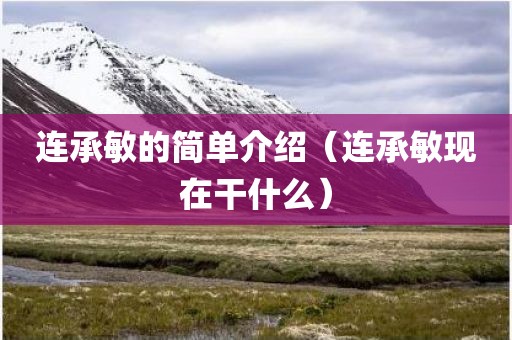 连承敏的简单介绍（连承敏现在干什么）