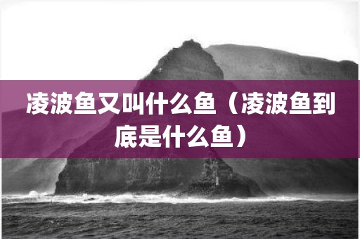 凌波鱼又叫什么鱼（凌波鱼到底是什么鱼）