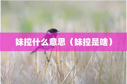 妹控什么意思(妹控是啥)