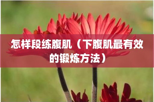 怎样段练腹肌（下腹肌最有效的锻炼方法）