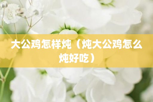 大公鸡怎样炖（炖大公鸡怎么炖好吃）