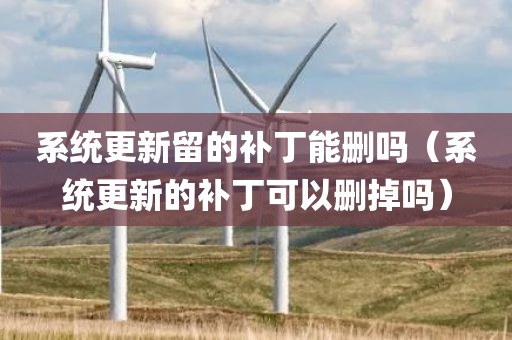 系统更新留的补丁能删吗（系统更新的补丁可以删掉吗）