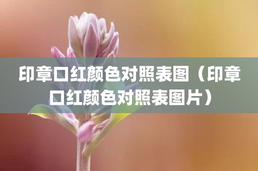 印章口红颜色对照表图（印章口红颜色对照表图片）