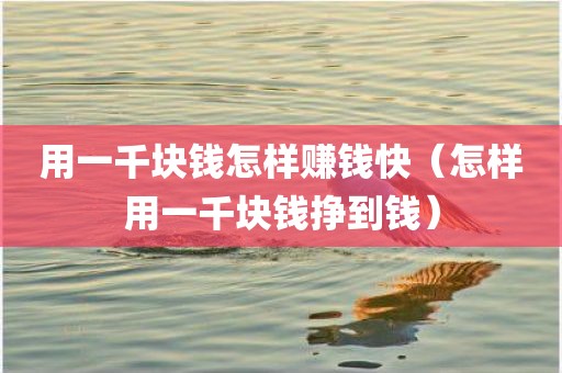 用一千块钱怎样赚钱快（怎样用一千块钱挣到钱）
