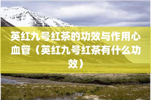 英红九号红茶的功效与作用心血管（英红九号红茶有什么功效）