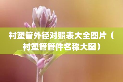 衬塑管外径对照表大全图片（衬塑管管件名称大图）