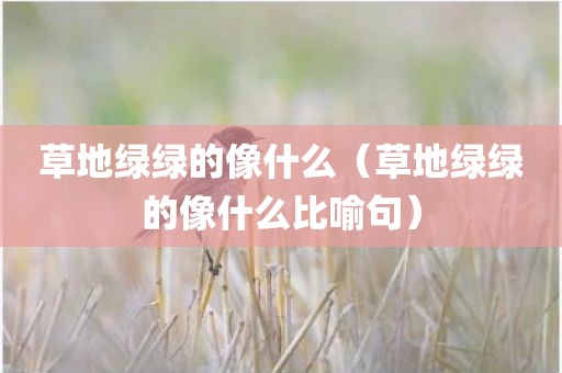 草地绿绿的像什么（草地绿绿的像什么比喻句）
