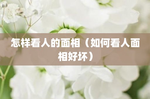 怎样看人的面相（如何看人面相好坏）