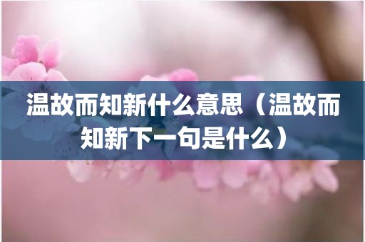 温故而知新什么意思（温故而知新下一句是什么）
