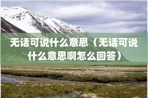 无话可说什么意思（无话可说什么意思啊怎么回答）