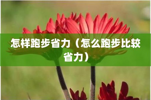 怎样跑步省力（怎么跑步比较省力）