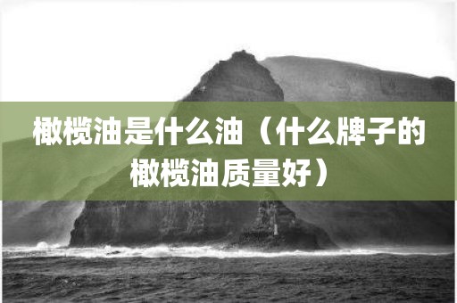 橄榄油是什么油（什么牌子的橄榄油质量好）