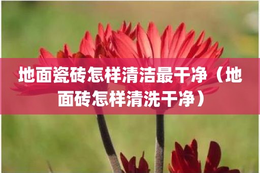 地面瓷砖怎样清洁最干净（地面砖怎样清洗干净）