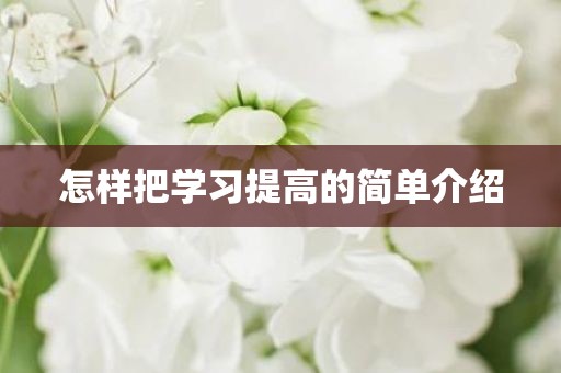 怎样把学习提高的简单介绍