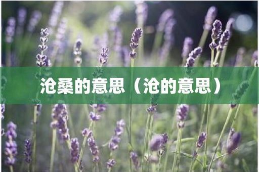 沧桑的意思（沧的意思）