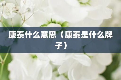 康泰什么意思（康泰是什么牌子）
