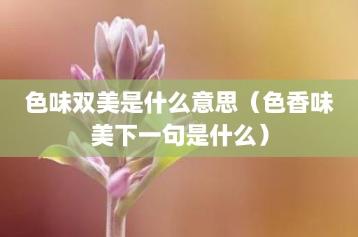 色味双美是什么意思(色香味美下一句是什么)