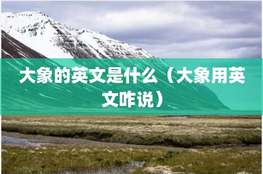 大象的英文是什么（大象用英文咋说）