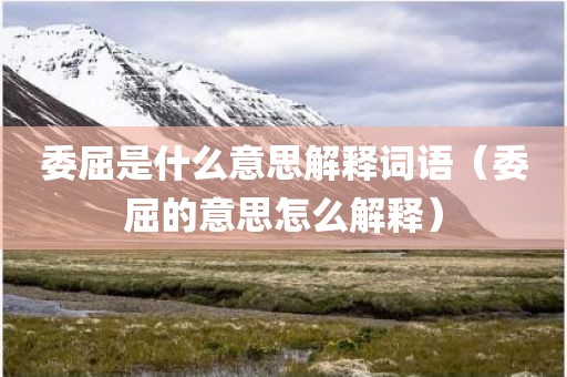 委屈是什么意思解释词语（委屈的意思怎么解释）