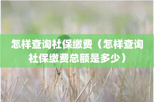 怎样查询社保缴费（怎样查询社保缴费总额是多少）