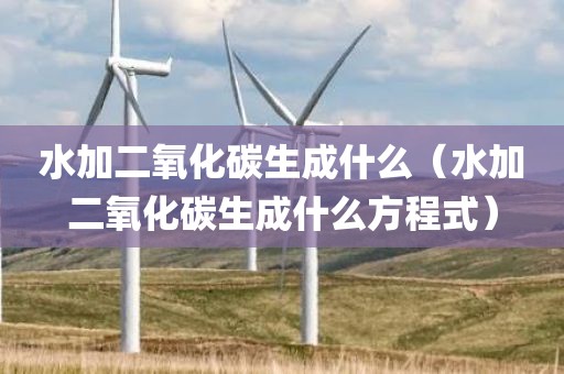 水加二氧化碳生成什么（水加二氧化碳生成什么方程式）