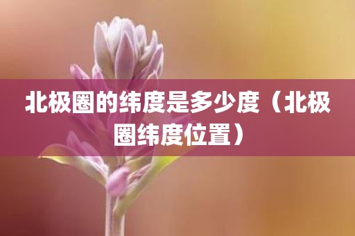 北极圈的纬度是多少度（北极圈纬度位置）