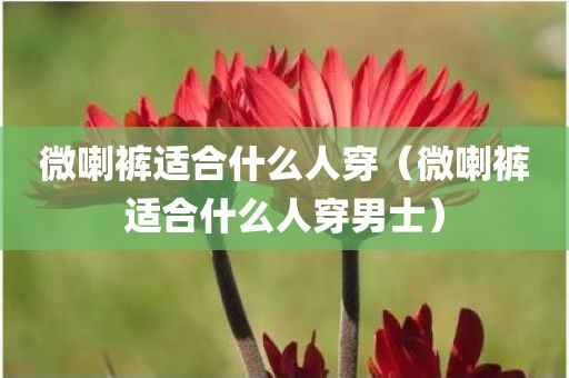 微喇裤适合什么人穿（微喇裤适合什么人穿男士）