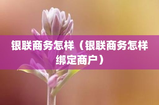 银联商务怎样（银联商务怎样绑定商户）