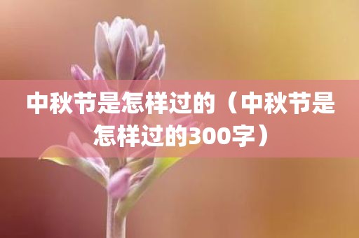 中秋节是怎样过的（中秋节是怎样过的300字）