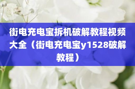 街电充电宝拆机破解教程视频大全（街电充电宝y1528破解教程）