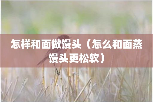 怎样和面做馒头（怎么和面蒸馒头更松软）