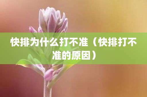 快排为什么打不准（快排打不准的原因）