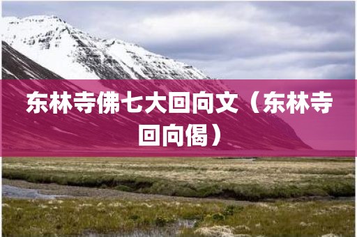 东林寺佛七大回向文（东林寺回向偈）