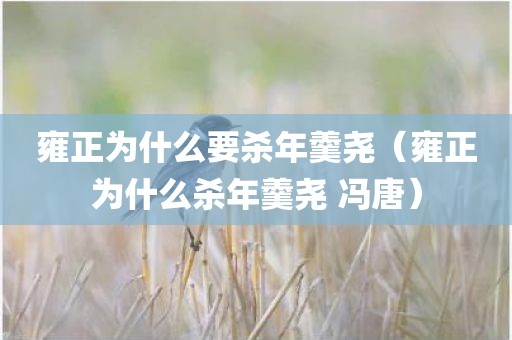 雍正为什么要杀年羹尧（雍正为什么杀年羹尧 冯唐）