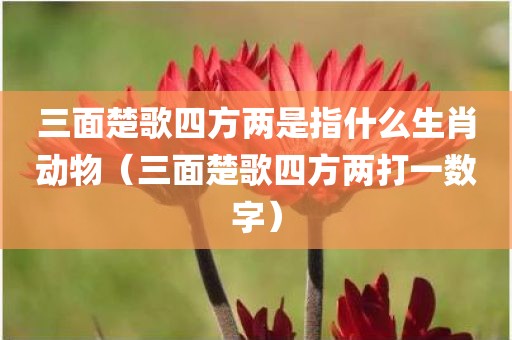 三面楚歌四方两是指什么生肖动物（三面楚歌四方两打一数字）