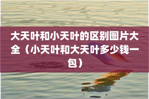 大天叶和小天叶的区别图片大全（小天叶和大天叶多少钱一包）