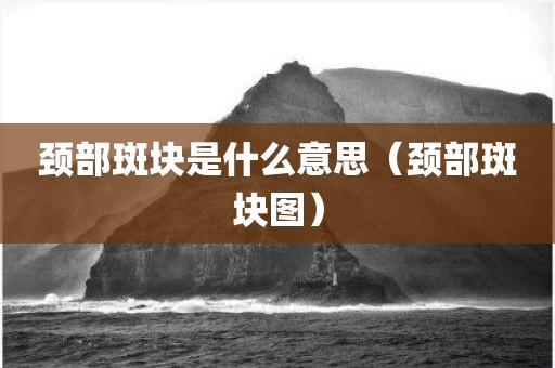 颈部斑块是什么意思（颈部斑块图）