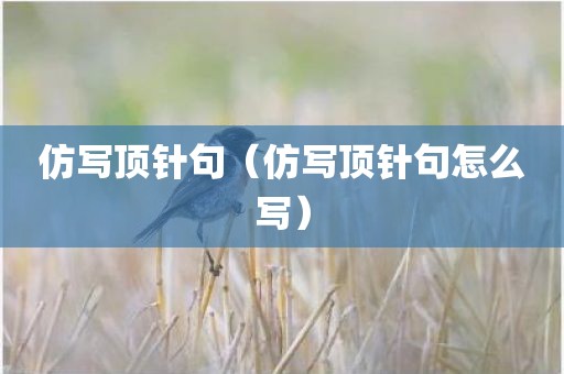 仿写顶针句（仿写顶针句怎么写）