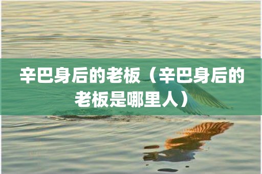 辛巴身后的老板（辛巴身后的老板是哪里人）