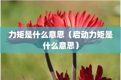 力矩是什么意思（启动力矩是什么意思）