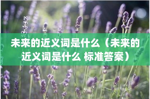 未来的近义词是什么(未来的近义词是什么 标准答案)