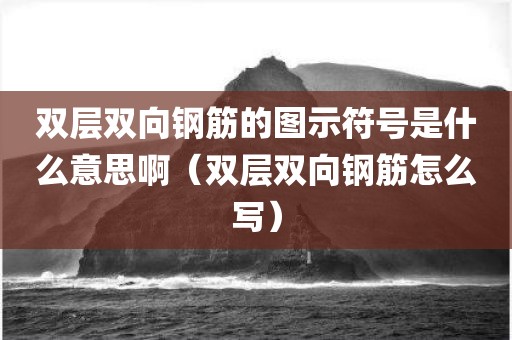 双层双向钢筋的图示符号是什么意思啊（双层双向钢筋怎么写）