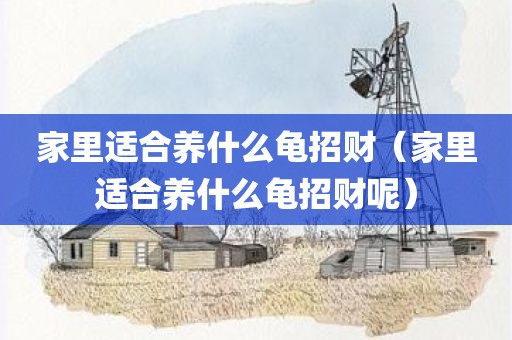 家里适合养什么龟招财（家里适合养什么龟招财呢）