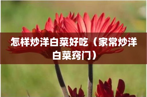 怎样炒洋白菜好吃（家常炒洋白菜窍门）