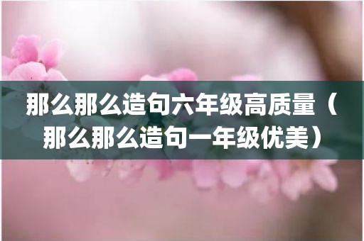 那么那么造句六年级高质量（那么那么造句一年级优美）