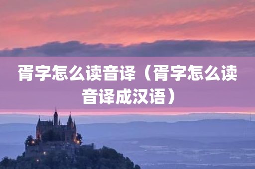 胥字怎么读音译(胥字怎么读音译成汉语)