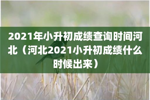 2021年小升初成绩查询时间河北（河北2021小升初成绩什么时候出来）