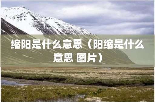 缩阳是什么意思（阳缩是什么意思 图片）