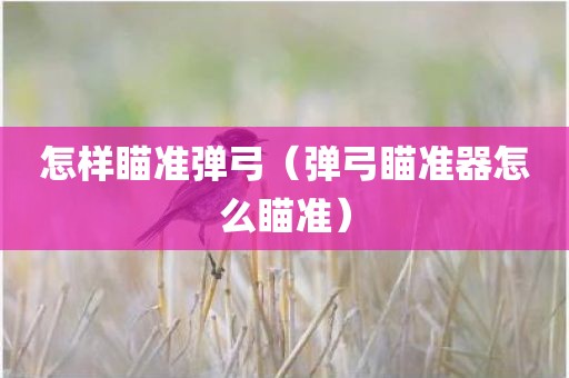怎样瞄准弹弓（弹弓瞄准器怎么瞄准）